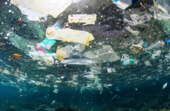 Major Plastics Treaty Ends in Failure