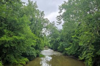 The Little Things Newsletter #480 – Life, laughter, and lots of great food!