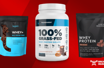 Best Whey Protein Powders of 2025