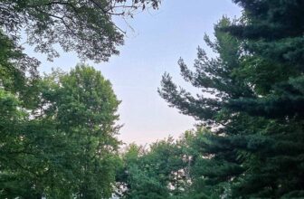 The Little Things Newsletter #481 – Life, laughter, and lots of great food!