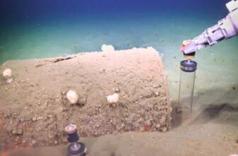 Decades-Old Waste Barrels Are Creating Toxic Dead Zones off LA’s Coast