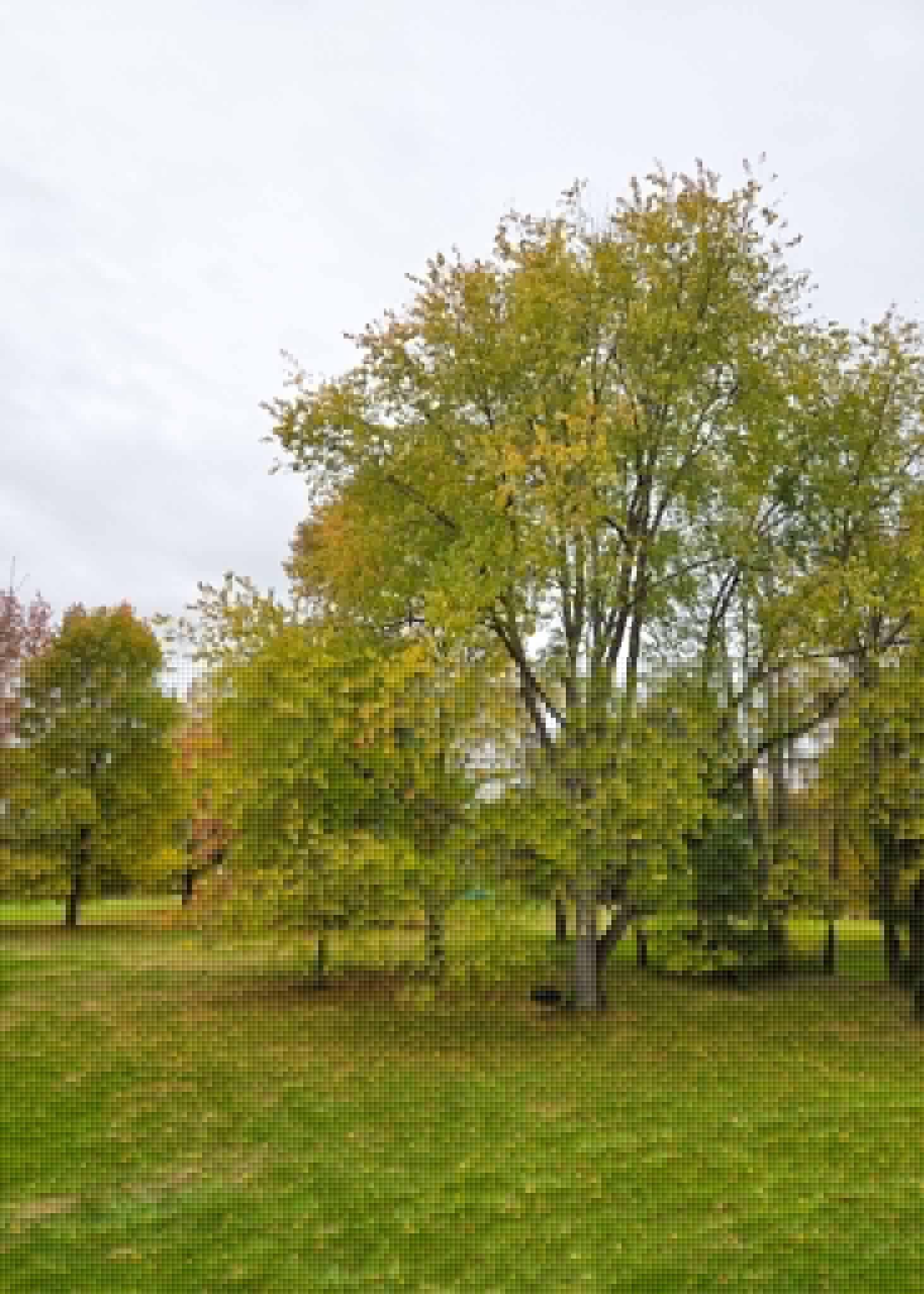 The Little Things Newsletter #493 – Life, laughter, and lots of great food!